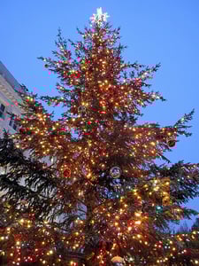 Christmas tree safety