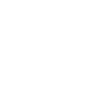 Success Icon