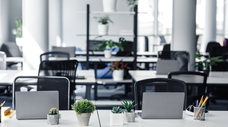 Coworking eco-office