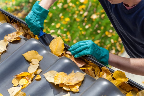 cleaning leaves out of the gutter