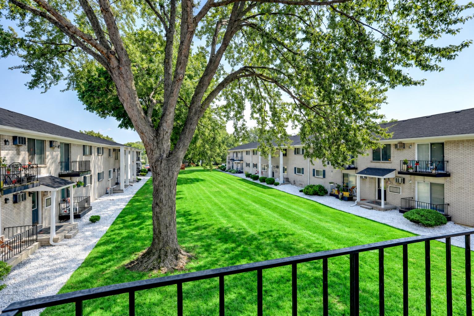 View from an upper balcony over the grass courtyard, a large shade tree and the facing brick buildings